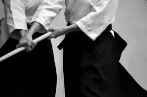 Lire la suite à propos de l’article CID LPC, entraînement à distance, Jikyo Jutsu démonstration, stage d&rsquo;armes.