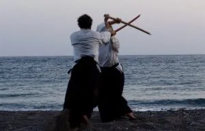 Lire la suite à propos de l’article Aikikan dojo Saint Jean de Védas (LPC), Cours d’armes